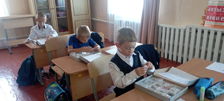 Окружающий мир 1 класс.